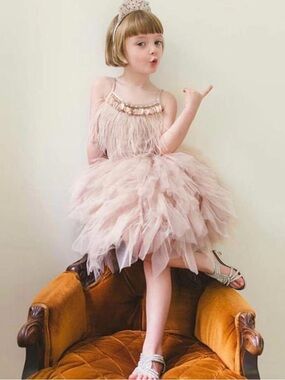Blush Pink Feather & Tulle Party Dress